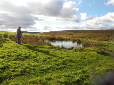 Esgair Dernol pond Esgair Dernol pond